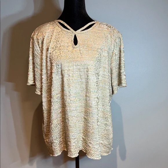 Alfred Dunner Beige and Light Brown Women's Blouse - Picture 1 of 7